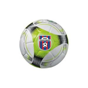 Fußball Gr. 5 350g (Logo)